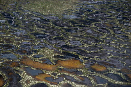 Ненецкий Автономный округ. Вид на болото на полуострове Канин с борта самолет.