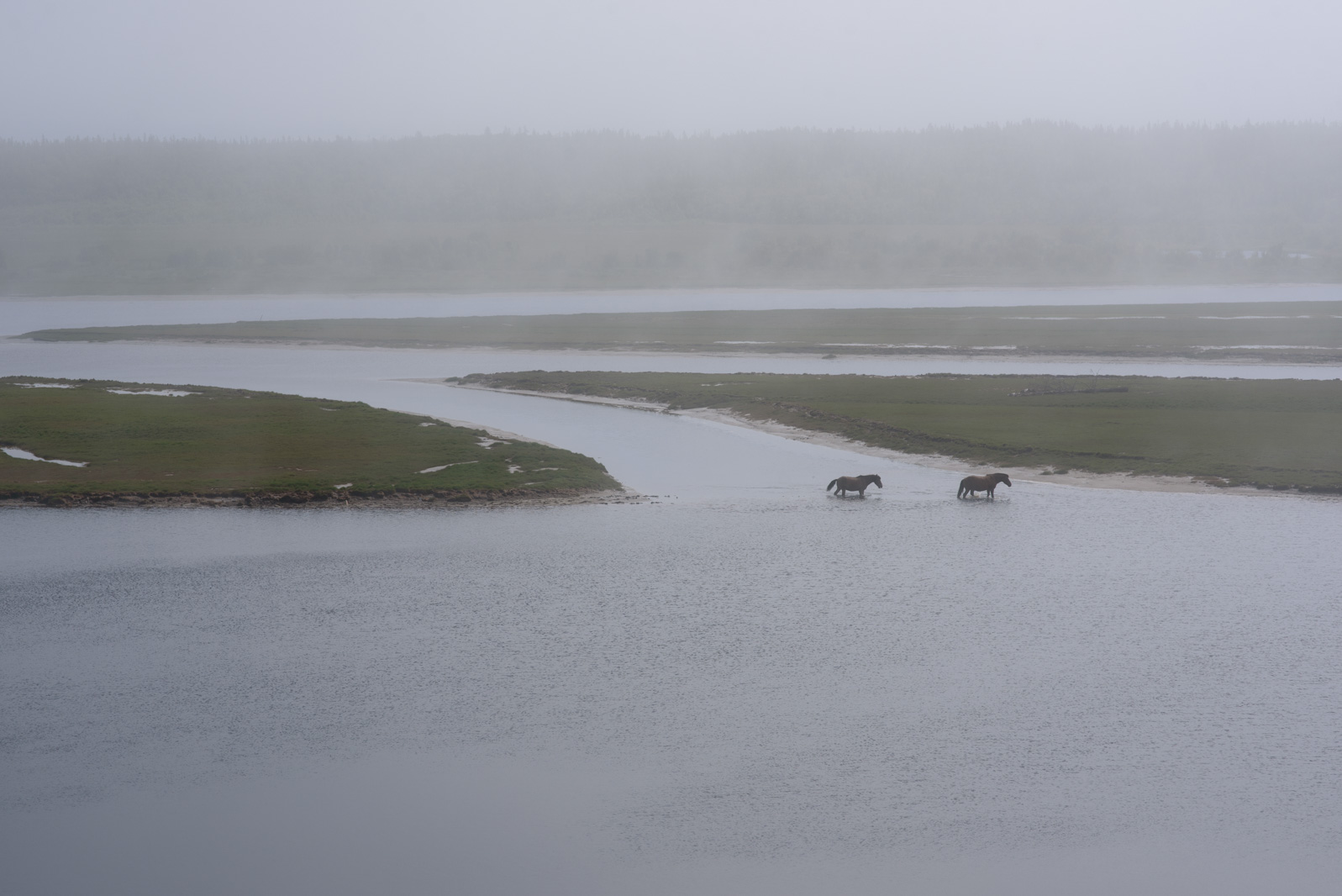 устье реки Ручьи, Зимний берег