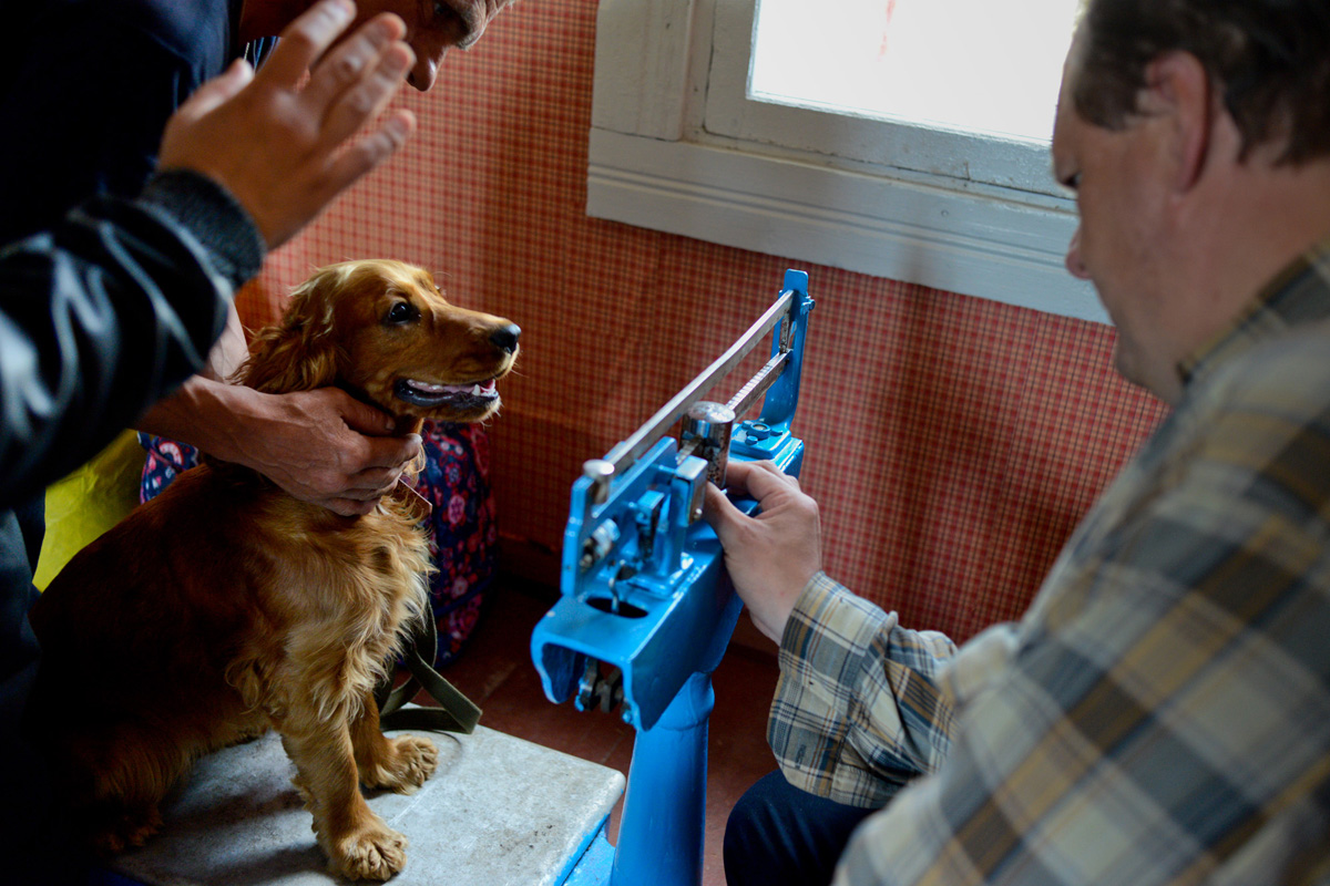 Начальник аэропорта Илья взвешивает "багаж".  