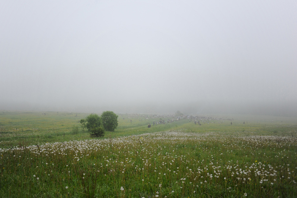 Каждый год десятки тысяч верующих идут крестным ходом к реке Великая (Вятка).