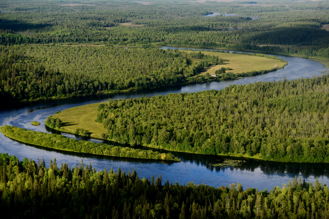 Река Ручьи в среднем течении