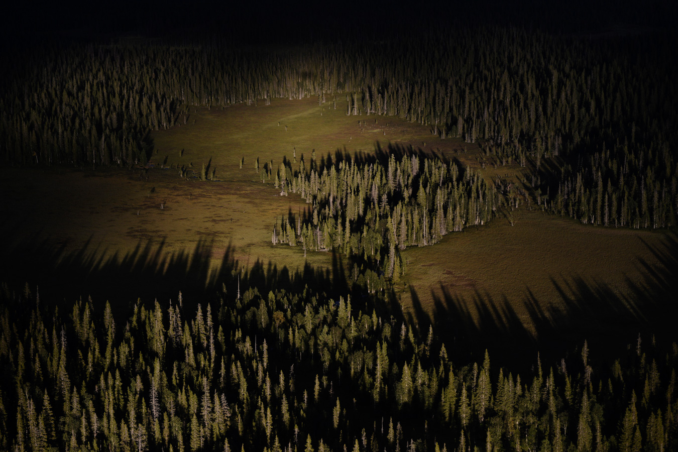 Архангельская область, северная тайга  Беломоро-Кулойского плато с борта самолета.