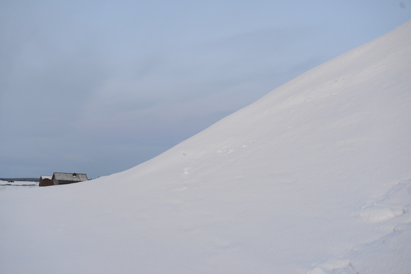 Избы Путинишные