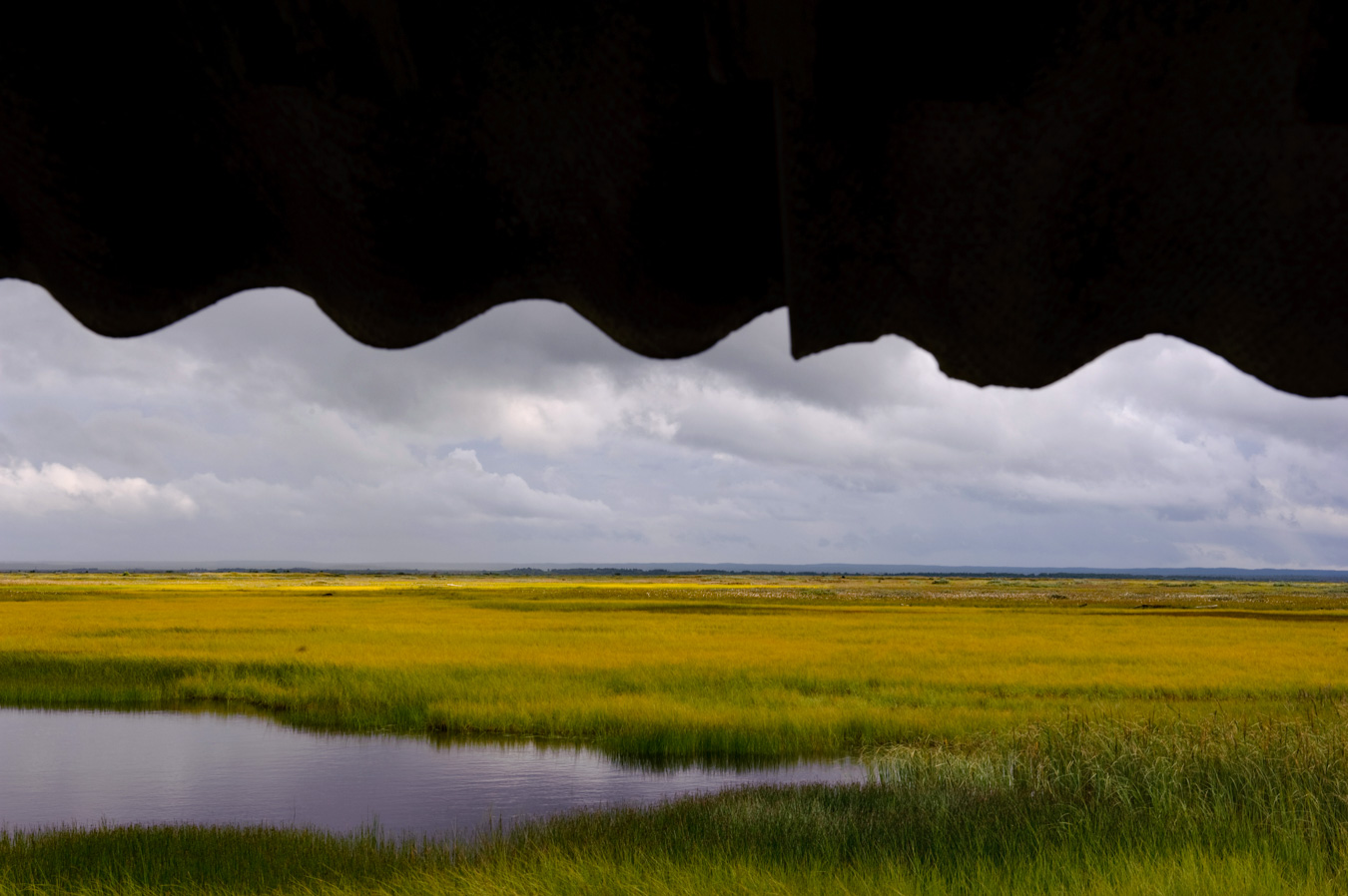 Пейзаж в районе Зимнего берега