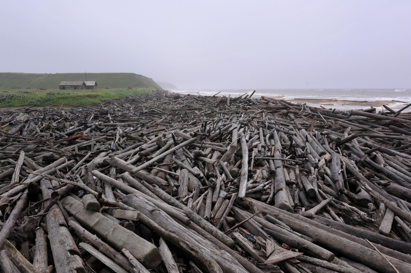 Завал топляка на Зимнем берегу Белого моря. Раньше на севере заготавливаемый лес сплавляли по рекам. Значительная часть древесины тонуло-терялось в море. До сих пор спустя десятилетия огромные бревна выбрасывает на берег после шторма. Ближе к селам как правило все вывезено на дрова. На отдаленных от людей участках побережья встречаются завалы.