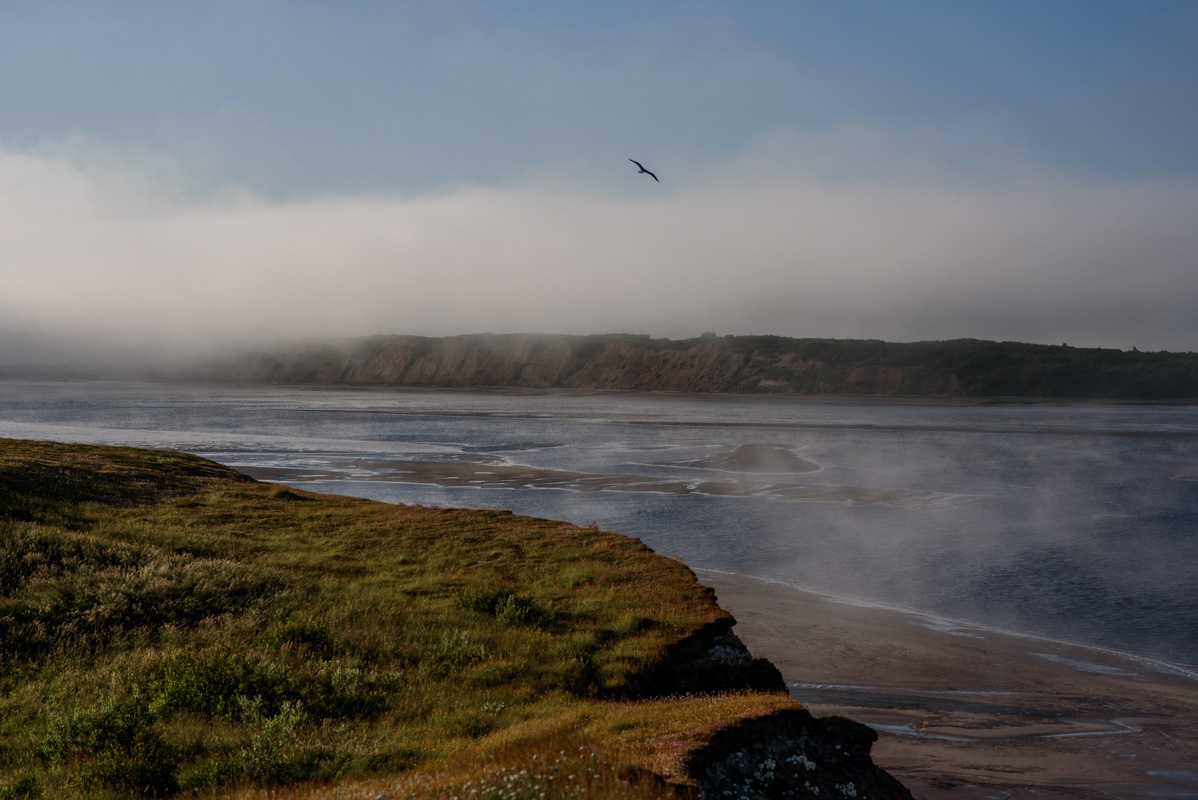 Устье реки Мегра.