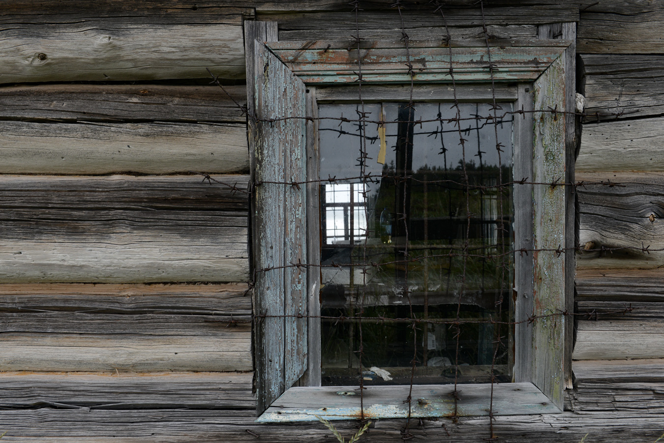 Окна в избах на Летнем берегу защищают от медведей.