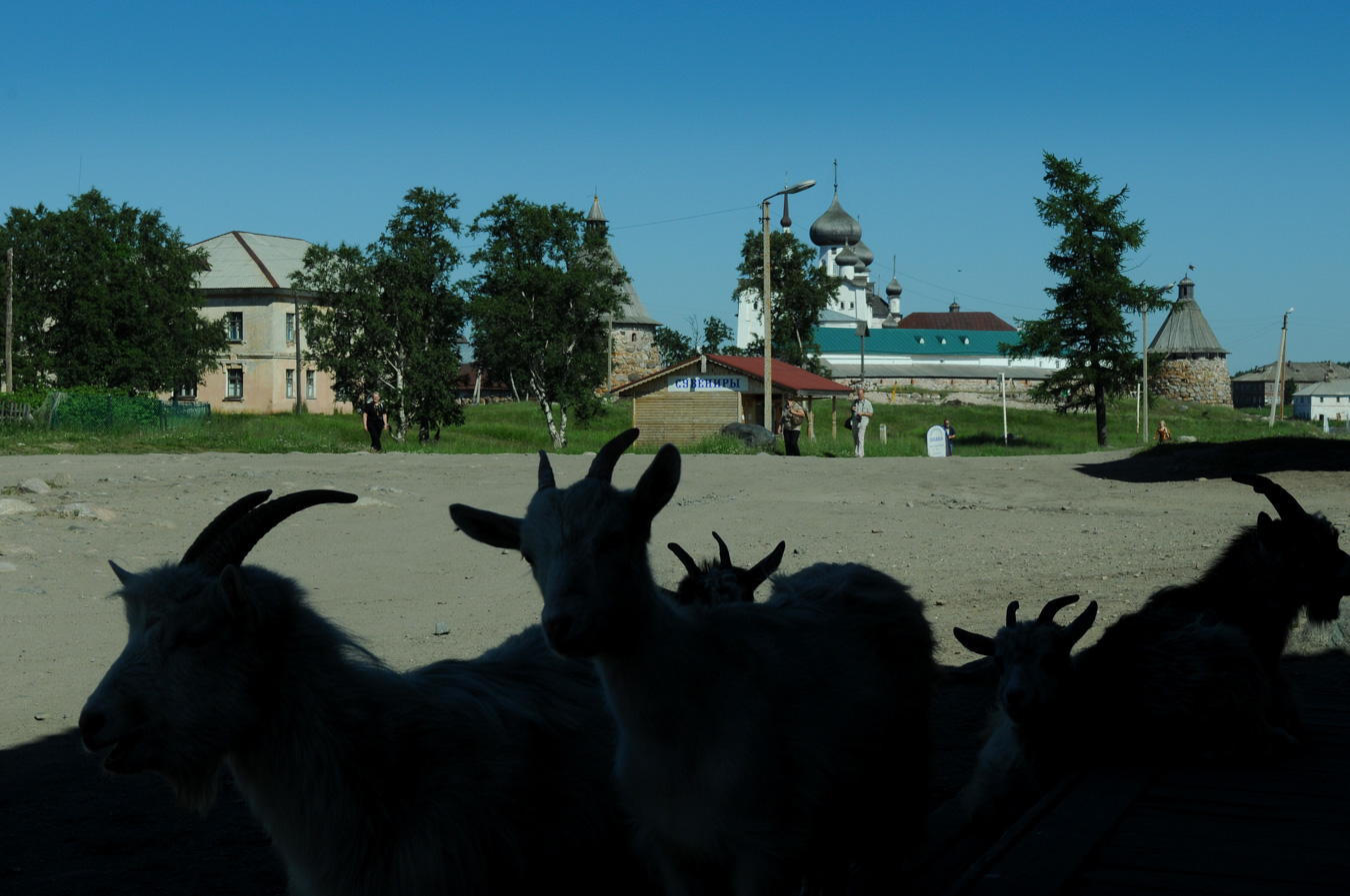 пос.Соловецкий