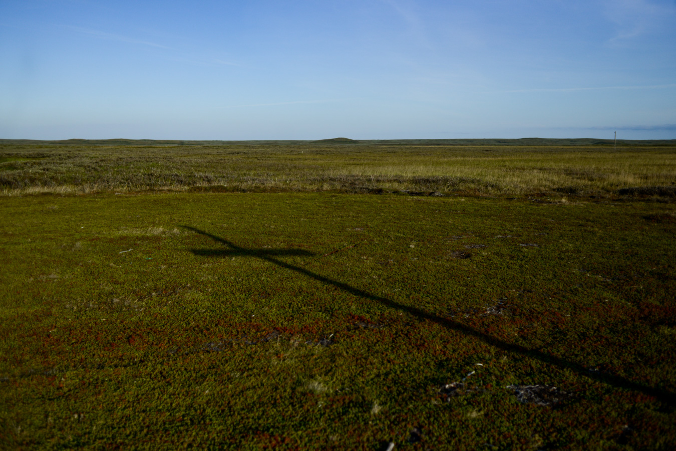 тундра в окрестностях Канинского берега