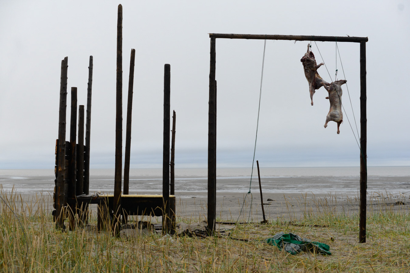 Конушинский берег