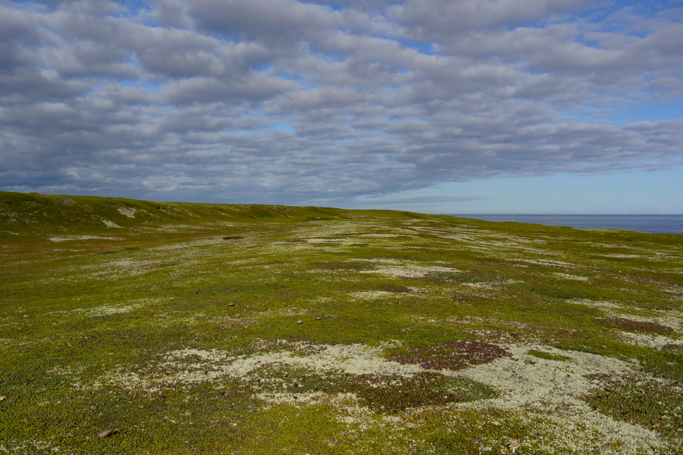 Тундра. Терскийберег
