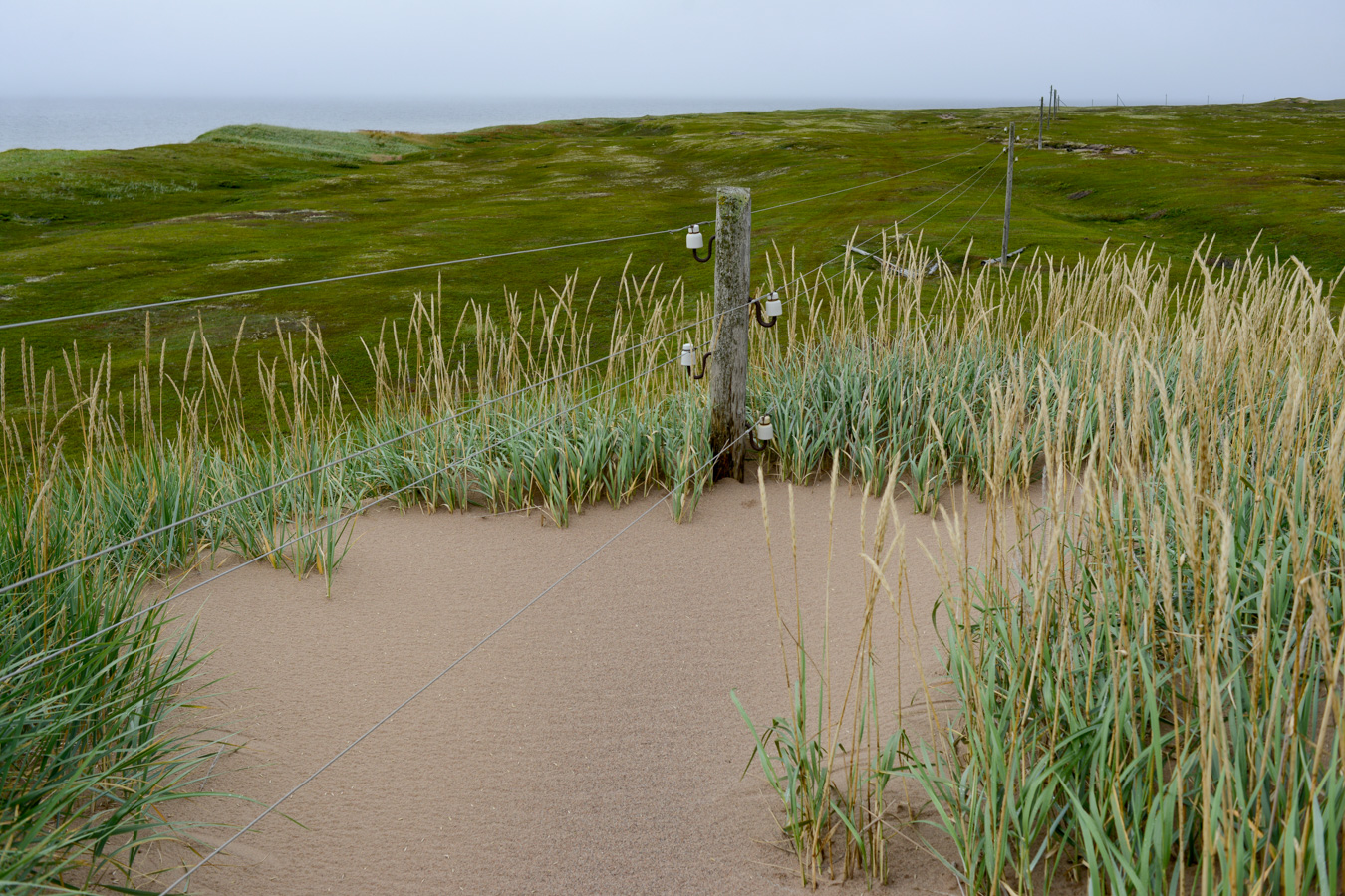 от Пялицы на Сосновку