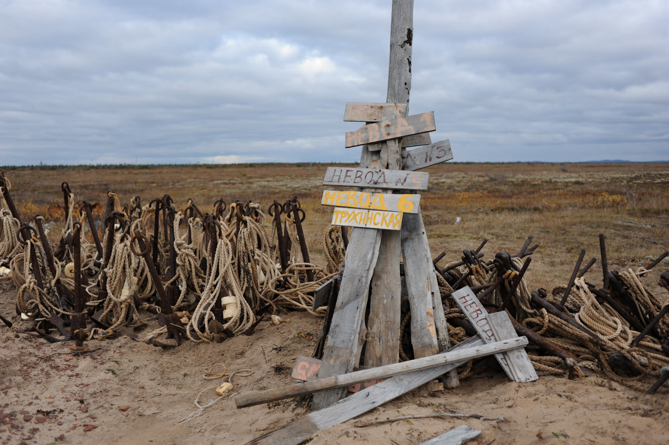 На тоне рыбколхоза в окрестностях Кузомени